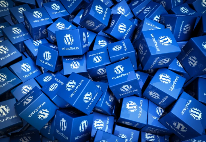 Consultant WordPress en Auvergne