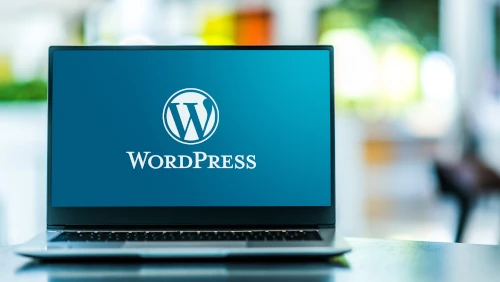 freelance wordpress en auvergne