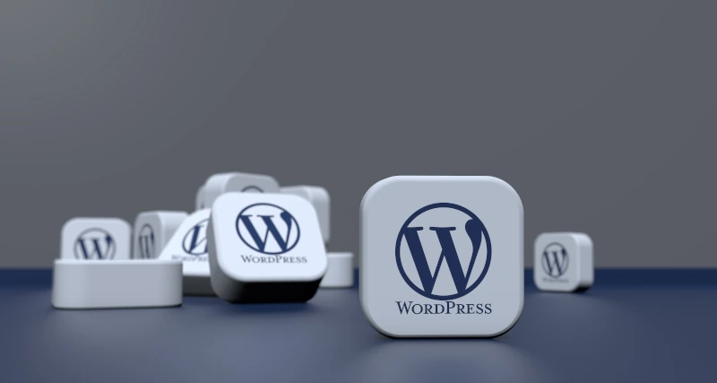 Editeur de sites wordpress Clermont Ferrand